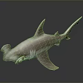 3D Rendered Pink And White Hammerhead Shark On Dark Background With Reflection Effect
