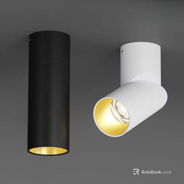 Modern Black And White Downlights And Spotlights With Warm Yellow Illumination For Indoor Lighting 3d model 