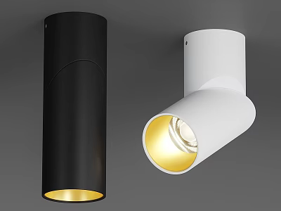Modern Black And White Downlights And Spotlights With Warm Yellow Illumination For Indoor Lighting 3d model