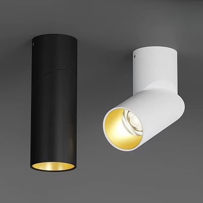 Modern Black And White Downlights And Spotlights With Warm Yellow Illumination For Indoor Lighting 3d model
