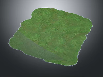 Lush Green Vegetation Coverage In Irregular Shaped Natural Plant Area With Grassy Surface 3d model