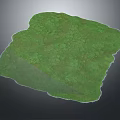 Lush Green Vegetation Coverage In Irregular Shaped Natural Plant Area With Grassy Surface