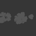 Various Olive Trees With Distinct Natural Shapes And Landscape Design Elements