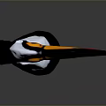 Colorful Toucan Character With Large Orange Red Black Beak And White Black Body