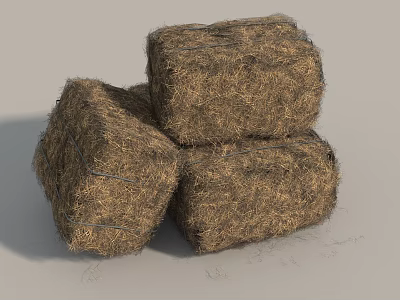 Agricultural Hay Baler Equipment Efficiently Producing Stacked Square Hay Bales on Farm 3d model