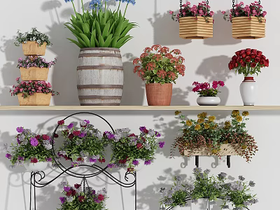Colorful Potted Plants Display With Wooden Barrel Wicker Baskets And Hanging Shelves 3d model