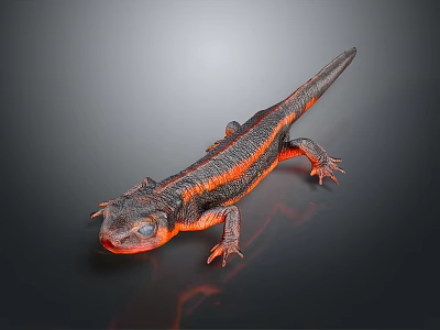 Fire Salamander With Black And Orange Striped Body And Long Tail On Dark Surface 3d model