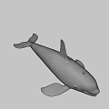 Realistic Black And White Orca Swimming In Blue Background