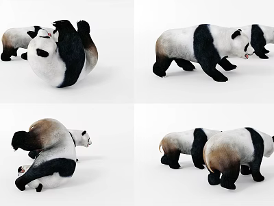 Cute Panda Plush Toys in Various Poses Standing Rolling and Lying Down 3d model
