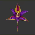 Purple Pink Orchid with Yellow Orange Edged Petals and Black Spotted Center in Dark Background