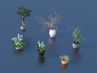 Various Bonsai Potted Plants With Different Pots And Greenery For Indoor Decor 3d model