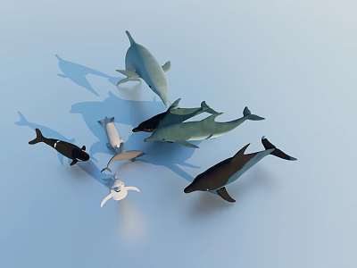 Aquatic Animals Collection Featuring Dolphins Whales and Different Colored Marine Life 3d model