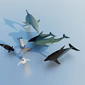 Aquatic Animals Collection Featuring Dolphins Whales and Different Colored Marine Life