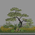 Artistic Garden Ornament Featuring Pine Tree Various Plants Shrubs Stones And Yellow Flowers