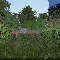 Garden Landscape Design With Lush Trees Green Foliage And Stone Carving