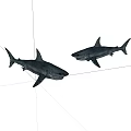 Two Realistic Aquatic Animal Shark Models With Lifelike Pose And Detailed Features