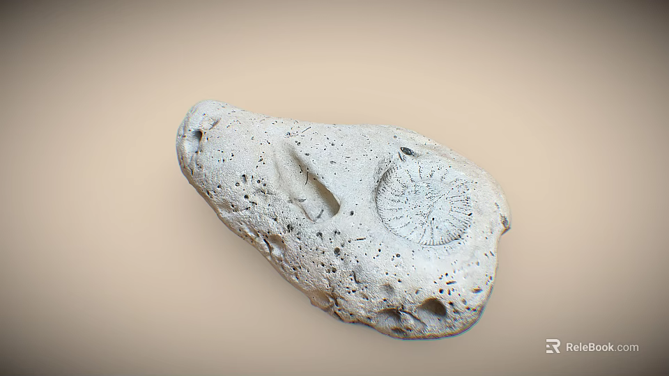 Natural Stone and Wood Decorative Item With Holes Radial Texture Light Beige 3d model 