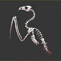 3D Medical Anatomical Skeletal Model With 3D Design And Red Markers For Teaching