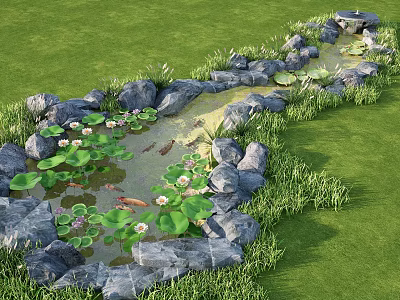 Beautiful Waterside Landscape With Green Grass Rocks Pond Water Lilies And Fish 3d model