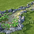 Beautiful Waterside Landscape With Green Grass Rocks Pond Water Lilies And Fish