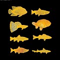 fish freshwater fish aquatic animal 3d model