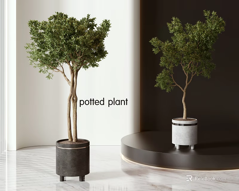 Modern Interior Design With Two Potted Plants In Black And White Pots On Round Platform 3d model 