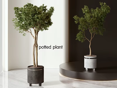 Modern Interior Design With Two Potted Plants In Black And White Pots On Round Platform 3d model
