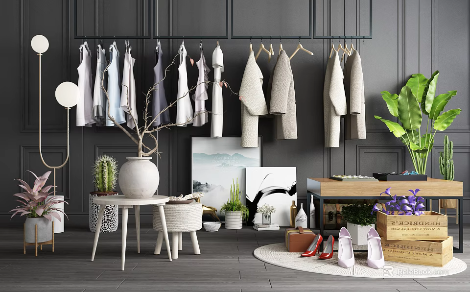 Hangers with Clothes Hanging on Dark Gray Walls and Green Plant Small Tables Paintings Shoes 3d model 