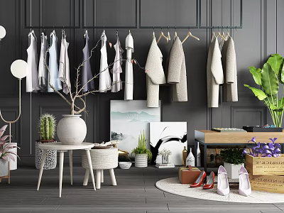 Hangers with Clothes Hanging on Dark Gray Walls and Green Plant Small Tables Paintings Shoes 3d model