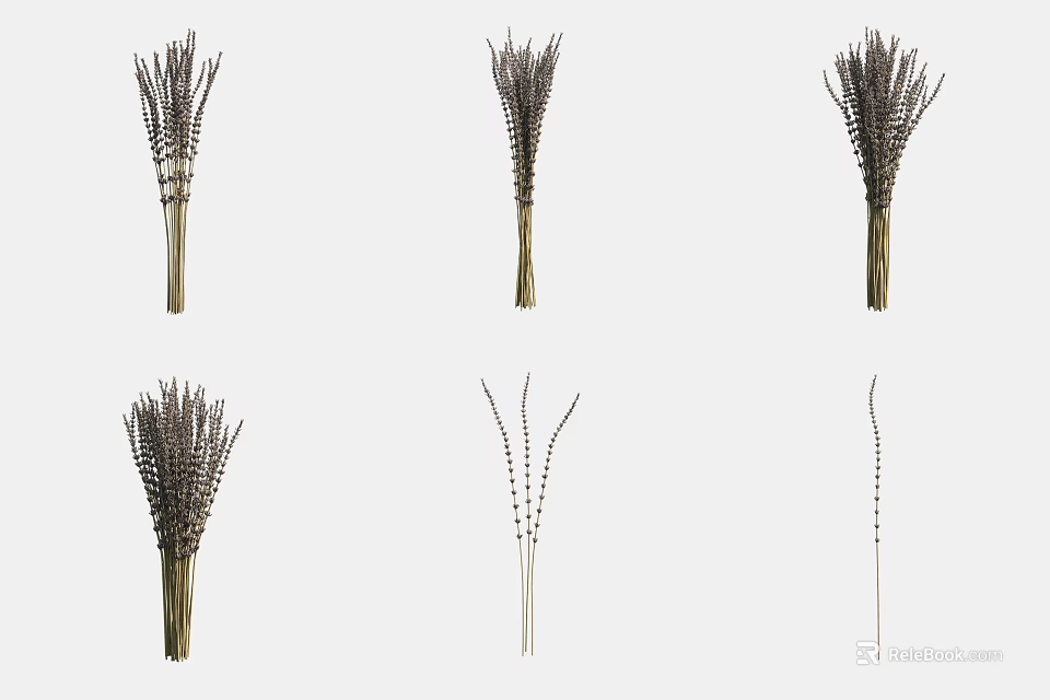 Decorative Assorted Natural Dried Lavender Bunches and Single Stems for Home Decor 3d model
