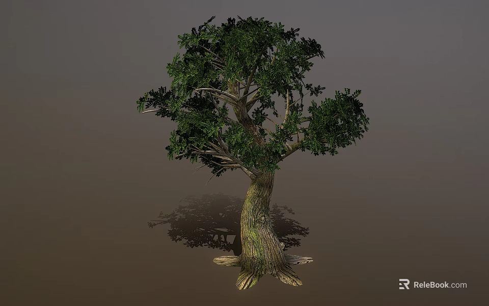 Lush Green Tree With Thick Trunk Exposed Roots And Dense Foliage 3d model 