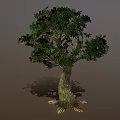 Lush Green Tree With Thick Trunk Exposed Roots And Dense Foliage 3d model