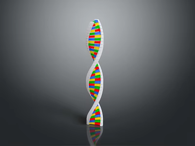 Colorful DNA Helix Model Toy With Plastic Building Segments For Education 3d model