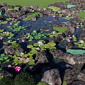 Waterfront Landscape With Pond Rocks Pink And White Water Lilies And Greenery