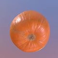 Fresh Orange Round Pumpkin With Green Stem For Healthy Cooking Recipes