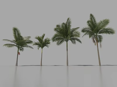 Four Palm Trees With Different Heights And Green Fronds Arranged In A Row 3d model