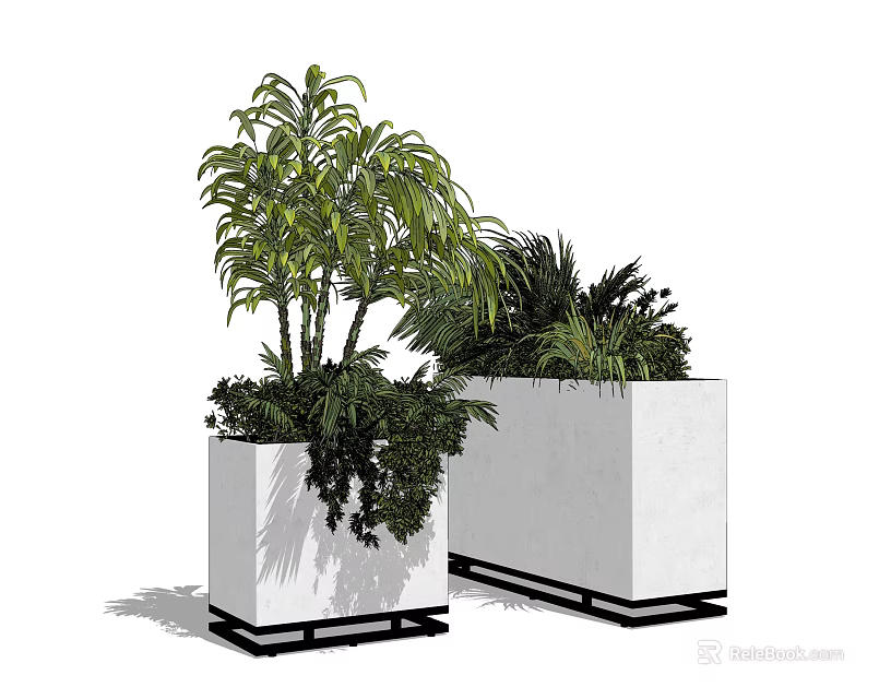Potted Tropical Green Plants In White Square Planters With Black Base For Indoor Decoration 3d model 