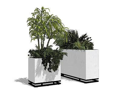 Potted Tropical Green Plants In White Square Planters With Black Base For Indoor Decoration 3d model