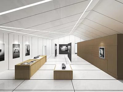 Modern Exhibition Hall Interior With White Walls Wooden Display Counters And Black White Artworks 3d model