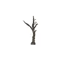 Dry Tree Trunk With Bare Branches And Natural Wood Texture Isolated On White