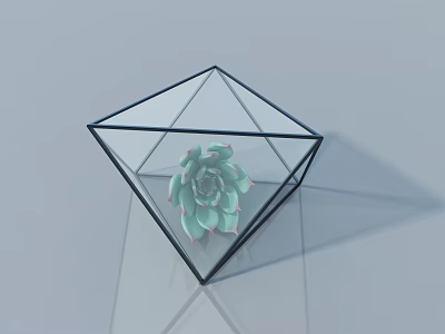 Bonsai Potted Plant With Diamond Shaped Glass Container And Light Green Succulent 3d model