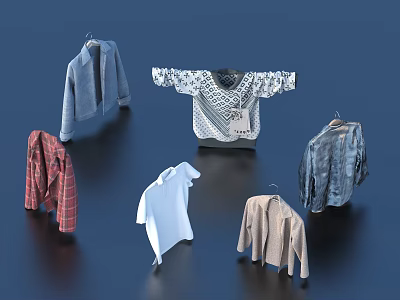 Assorted Fashionable Clothes With Various Styles And Different Types Displayed 3d model