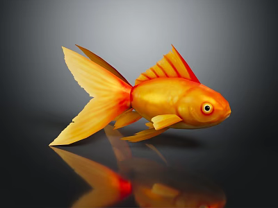 Golden Orange Goldfish With Large Tail On Smooth Surface And Reflection 3d model