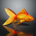 Golden Orange Goldfish With Large Tail On Smooth Surface And Reflection 3d model