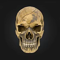 Detailed Antique Human Skull With Cracked Texture On Black Background