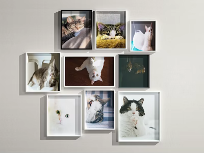 Stylish Photo Wall with Multiple Frames Displaying Various Cat Photos in Different Poses 3d model