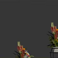 Colorful Flower Arrangements With Black Iron Stand And Placed On Floor With Vibrant Blooms