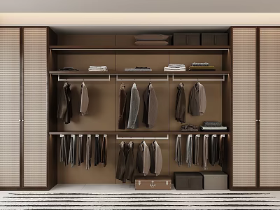 Organized Wardrobe Interior With Hanging Rods Shelves For Folded Clothes And Storage Boxes 3d model