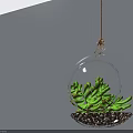 Transparent Circular Hanging Planter With Green Succulent Plants And Pebbles On White Wall