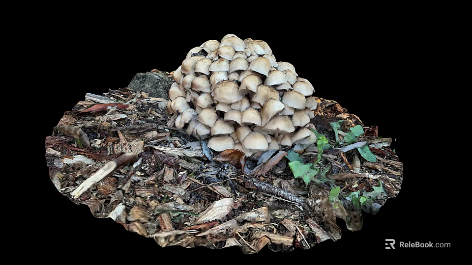 Fresh Organic Vegetables Growing With Mushroom Cluster On Wood Chips And Dead Leaves 3d model 